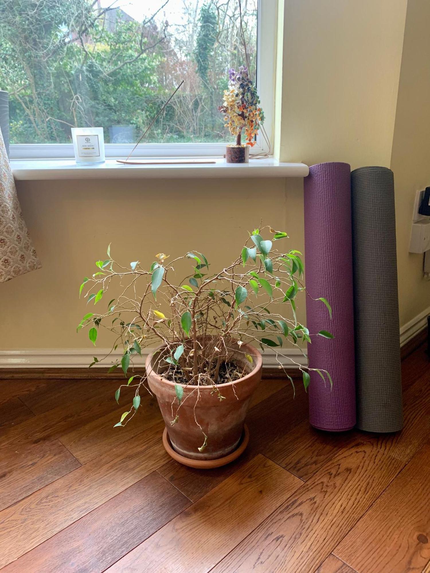 Peaceful Garden View Apt. Close To Central London Ngoại thất bức ảnh